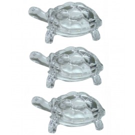 Arr Solutions Glossy Glass Feng Shui Tortoise- Pack Of 3