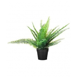 Artificial plant Artificial Potted Plant Green Artificial Plants Bunch Plastic - Pack of 1