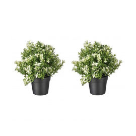 Artificial plant Artificial Potted Plant Green Greens With Pot Plastic - Pack of 2