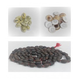 Aryan Products Kamal Gatta Lotus Seeds Mala 108 +1 Beads , 11 Pcs of Gomati Chakra & 11 pcs of Yellow Laxmi Kaudi Combo