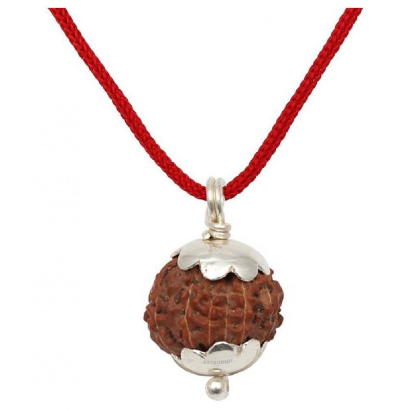 Astrodidi 10 Mukhi Rudraksha / Ten Face Rudraksha / 10 Face Rudraksha Pendant with Lab Certificate (Indonesian Java Rudraksha Size Approx 15 mm Small Size)