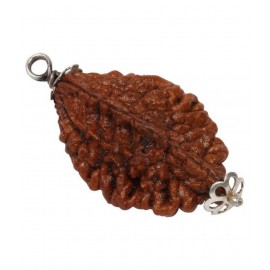 Astrodidi 2 Face Rudraksha / 2 Mukhi Rudraksha Pendant With Lab Certificate