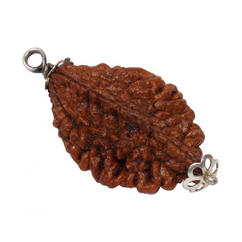 Astrodidi 2 Face Rudraksha / 2 Mukhi Rudraksha Pendant With Lab Certificate