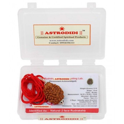 Astrodidi 2 Face Rudraksha / 2 Mukhi Rudraksha Pendant With Lab Certificate