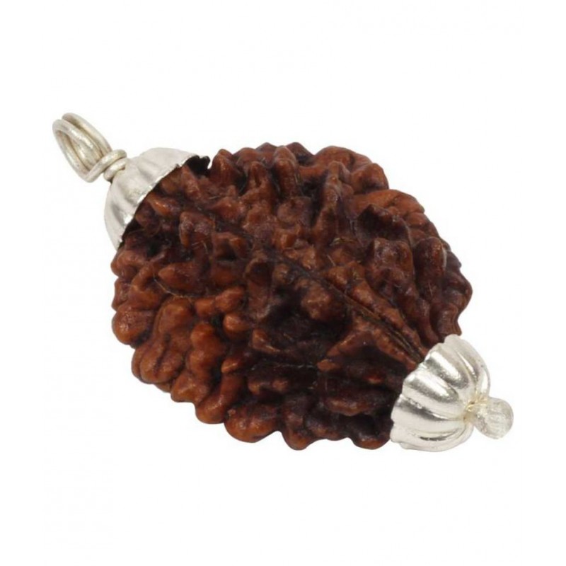 Astrodidi 2 Face (Two Mukhi) Rudraksha Pendant Wth Lab Certificate