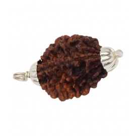 Astrodidi 2 Mukhi Rudraksha / 2 Face Rudraksha Pendant Wth Lab Certificate\n
