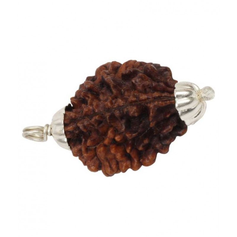 Astrodidi 2 Mukhi Rudraksha / 2 Face Rudraksha Pendant Wth Lab Certificate\n