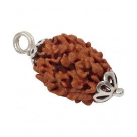 Astrodidi 3 Mukhi / Face Rudraksha Pendant with Lab Certificate