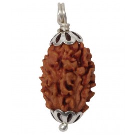 Astrodidi 3 Mukhi / Three Face Lab Certified Rudraksha Pendant