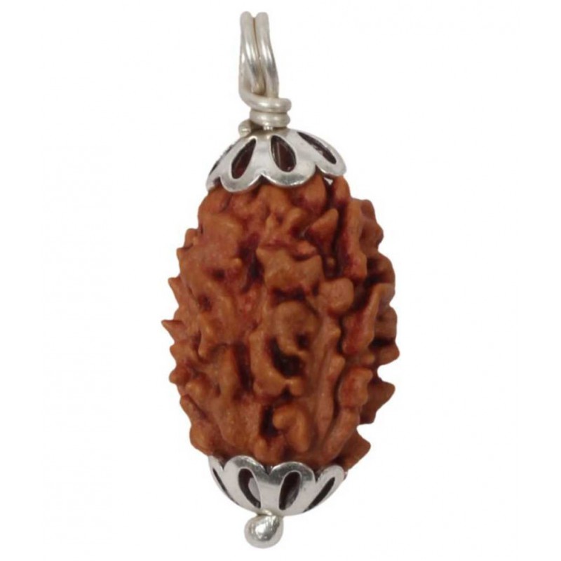 Astrodidi 3 Mukhi / Three Face Lab Certified Rudraksha Pendant