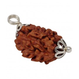 Astrodidi 3 Mukhi / Three Face Rudraksha (Lab Certified) Pendant