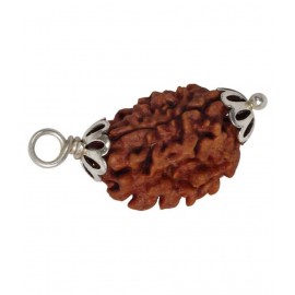 Astrodidi 3 Mukhi / Three Face Rudraksha Pendant With Lab Certificate