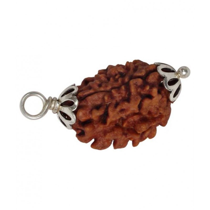 Astrodidi 3 Mukhi / Three Face Rudraksha Pendant With Lab Certificate