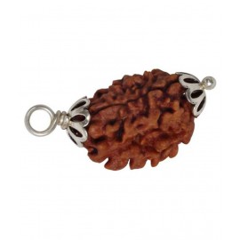 Astrodidi 3 Mukhi / Three Face Rudraksha Pendant With Lab Certificate