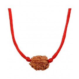 Astrodidi 3 Mukhi Rudraksha / Three Face Rudraksha With Lab Certificate