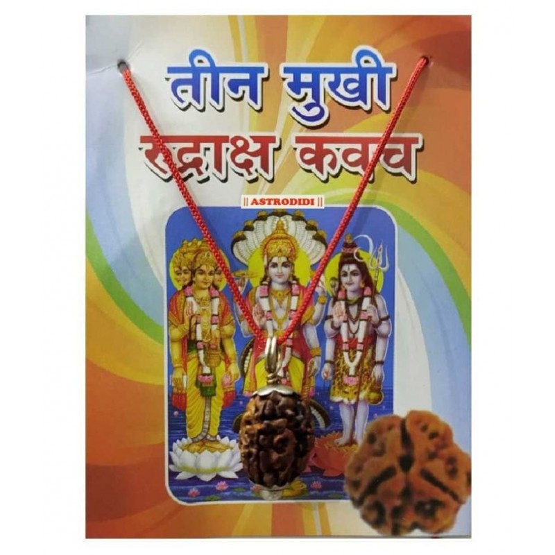 Astrodidi 3 Mukhi Rudraksha Kawach Three Face Locket Pendant