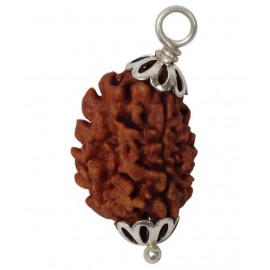 Astrodidi 3 Mukhi Rudraksha Pendant With Lab