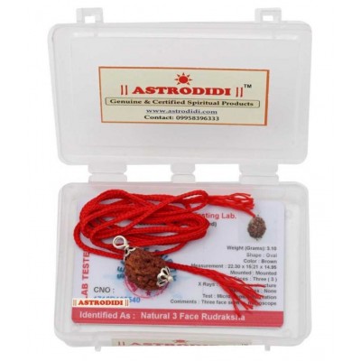 Astrodidi 3 Mukhi Three Face Rudraksha Original and Lab Certified Pendant ()