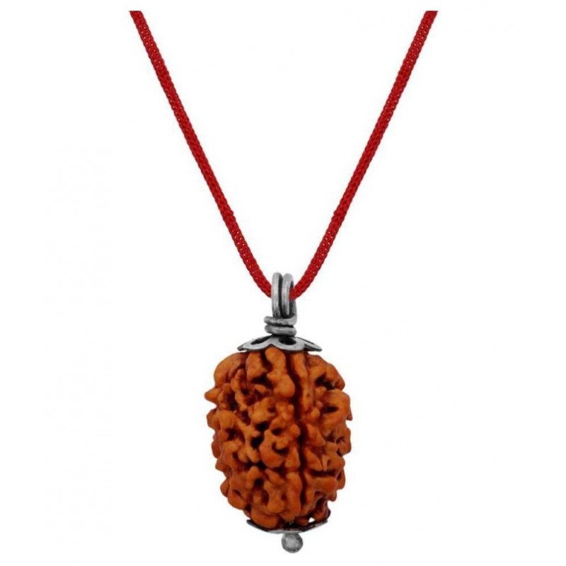 Astrodidi 3 Mukhi Three Face Rudraksha Original and Lab Certified Pendant ()