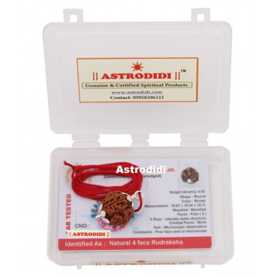 Astrodidi 4 Mukhi Four Face Rudraksha With Lab Report