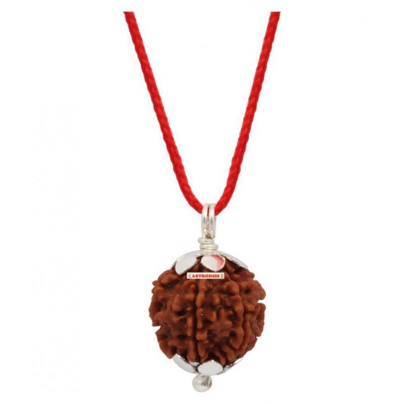 Astrodidi 4 Mukhi Four Face Rudraksha With Lab Report