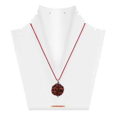 Astrodidi 4 Mukhi Rudraksha / Four Face Rudraksha Pendant with Lab Certificate