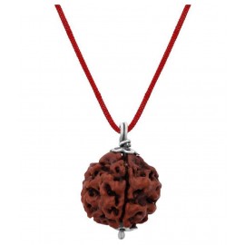 Astrodidi 4 Mukhi Rudraksha / Four Face Rudraksha Pendant with Lab Certificate
