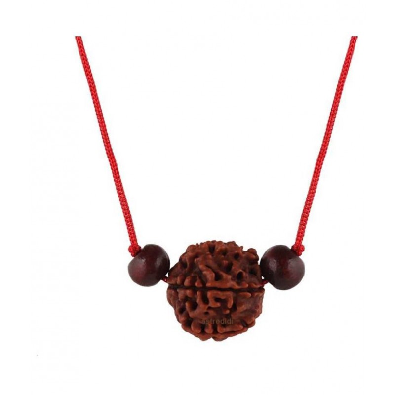 Astrodidi 4 Mukhi Rudraksha / Four Face Rudraksha With Red Chandan Beads