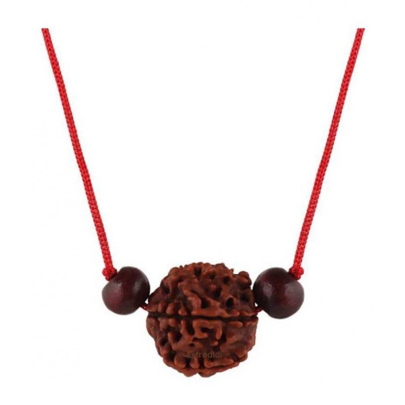 Astrodidi 4 Mukhi Rudraksha / Four Face Rudraksha With Red Chandan Pendant ()