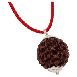 Astrodidi 4 Mukhi Rudraksha Pendant With Lab