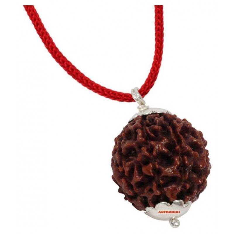 Astrodidi 4 Mukhi Rudraksha Pendant With Lab