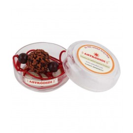 Astrodidi 6 Mukhi Rudraksha / Six Face Rudraksha With Red Chandan Beads