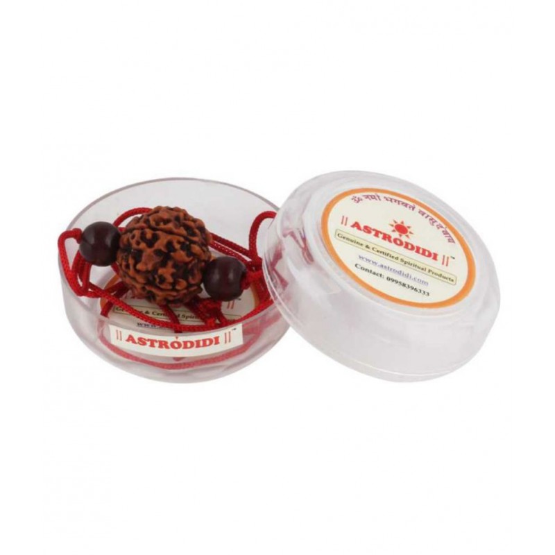Astrodidi 6 Mukhi Rudraksha / Six Face Rudraksha With Red Chandan Beads Pendant ()