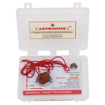 Astrodidi 7 Mukhi Rudraksha / 7 Face Rudraksha Pendant With Lab Report