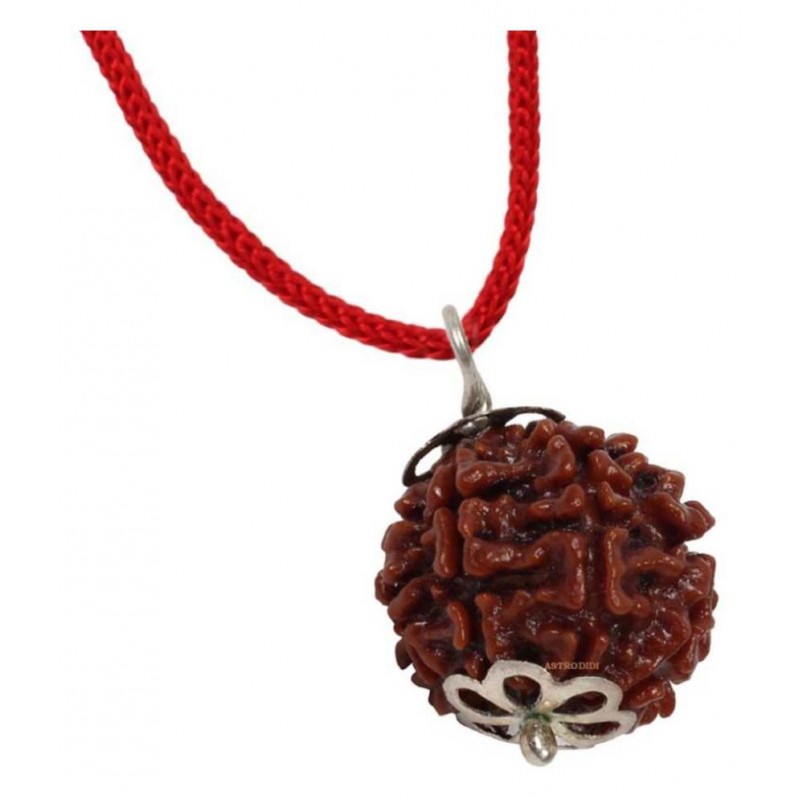 Astrodidi 7 Mukhi Rudraksha / 7 Face Rudraksha Pendant With Lab Report
