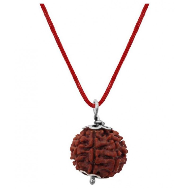 Astrodidi 7 Mukhi Rudraksha Nepali Pendant With Lab Certificate