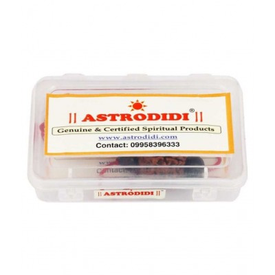 Astrodidi 7 Mukhi Rudraksha Seven Face Rudraksh