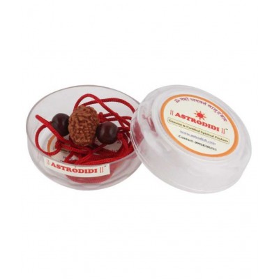 Astrodidi 9 Mukhi Indonesian Java Rudraksha (Small Size) With Red Chandan Beads Pendant ()