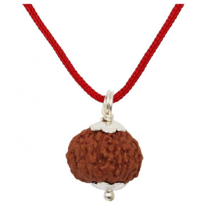 Astrodidi 9 Mukhi Rudraksha / Nine Face Rudraksha / 9 Face Rudraksha Pendant with Lab Certificate (Indonesian Java Rudraksha Size Approx 15 mm Small Size)