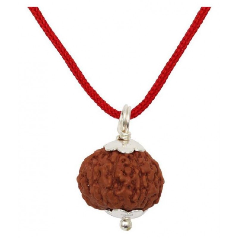 Astrodidi 9 Mukhi Rudraksha / Nine Face Rudraksha / 9 Face Rudraksha Silver Pendant with Lab Certificate (Indonesian Java Rudraksha Size Approx 15 mm Small Size)