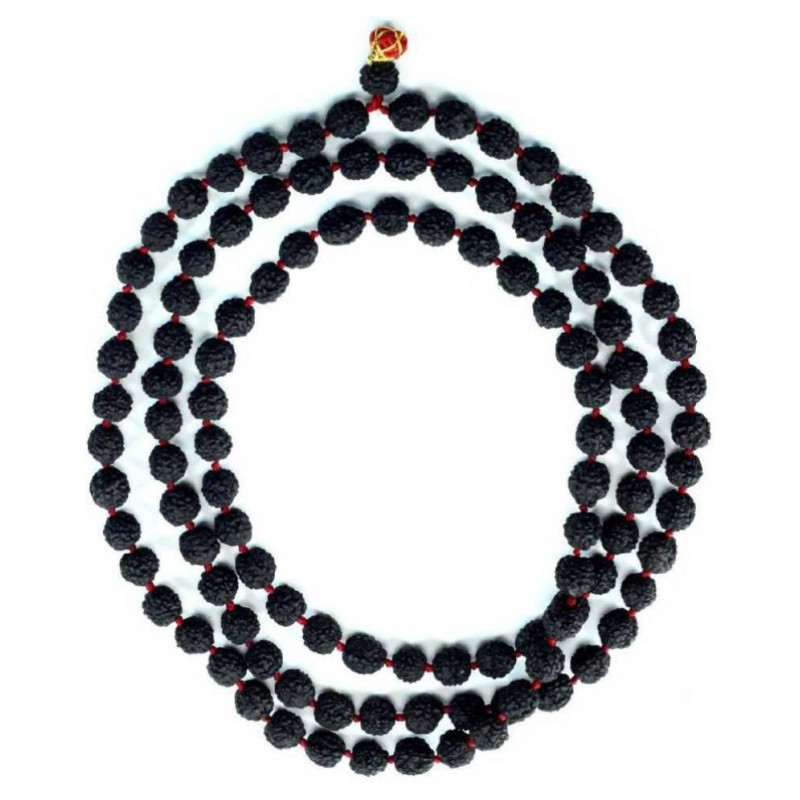 Astrodidi Black Rudraksha Mala 5 Mukhi Five Face (108+1 Beads)