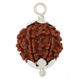 Astrodidi Five Face Rudraksha/ 5 Mukhi Rudraksha / 5 Face Rudraksha Silver Pendant With Lab Certificate Astrodidi Five Face Rudraksha/ 5 Mukhi Rudraksha / 5 Face Rudraksha Silver Pendant With Lab Certificate
