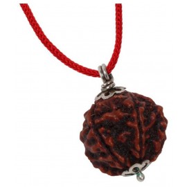 Astrodidi Five Face Rudraksha/ 5 Mukhi Rudraksha / 5 Face Rudraksha Silver Pendant With Lab Certificate Astrodidi Five Face Rudraksha/ 5 Mukhi Rudraksha / 5 Face Rudraksha Silver Pendant With Lab Certificate
