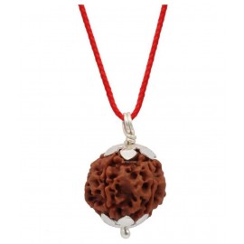 Astrodidi Five Face Rudraksha/ 5 Mukhi Rudraksha / 5 Face Rudraksha Silver Pendant With Lab Certificate Astrodidi Five Face Rudraksha/ 5 Mukhi Rudraksha / 5 Face Rudraksha Silver Pendant With Lab Certificate