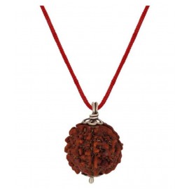 Astrodidi Five Face Rudraksha/ 5 Mukhi Rudraksha / 5 Face Rudraksha Silver Pendant With Lab Certificate Astrodidi Five Face Rudraksha/ 5 Mukhi Rudraksha / 5 Face Rudraksha Silver Pendant With Lab Certificate