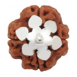 Astrodidi Four Face Rudraksha/ 4 Mukhi Rudraksha / 4 Face Rudraksha Silver Pendant With Lab Certificate Astrodidi Four Face Rudraksha/ 4 Mukhi Rudraksha / 4 Face Rudraksha Silver Pendant With Lab Certificate