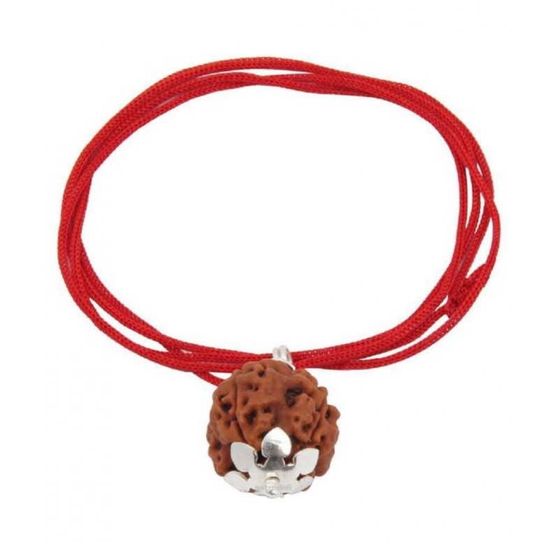 Astrodidi Four Face Rudraksha/ 4 Mukhi Rudraksha / 4 Face Rudraksha Silver Pendant With Lab Certificate