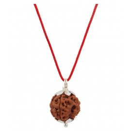 Astrodidi Four Face Rudraksha/ 4 Mukhi Rudraksha / 4 Face Rudraksha Silver Pendant With Lab Certificate Astrodidi Four Face Rudraksha/ 4 Mukhi Rudraksha / 4 Face Rudraksha Silver Pendant With Lab Certificate