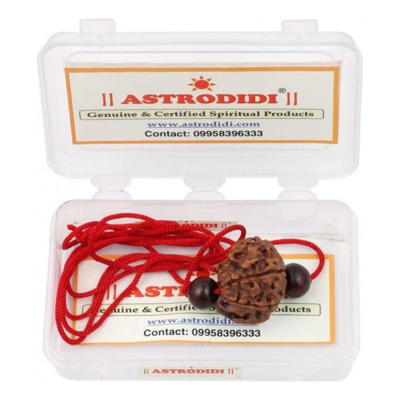 Astrodidi Ganesh Rudraksha With Red Chandan Beads