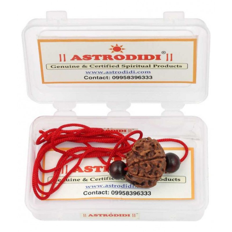 Astrodidi Ganesh Rudraksha With Red Chandan Beads Pendant ()